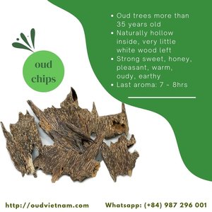 Brûleur de Bakhoor Double Grade en Bois d'Oud Biologique, Résine Élevée, Parfum Intense et Durable, Encens Pur Oud Vietnam Bois de Santal AOW Chip - Product Image 2
