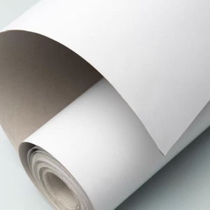 Carton duplex enduit avec dos blanc, qualité constante pour les boîtes d'appareils électriques - Product Image 1