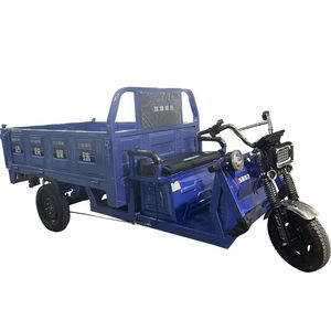 Gemotoriseerde Vracht Driewieler Zware Ladingsvrachtwagen 200cc/250cc/300cc Motor - Product Image 2