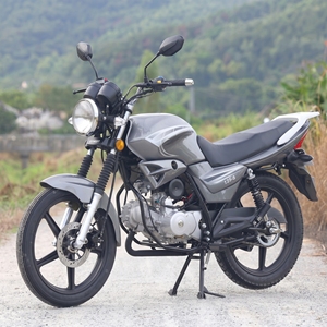 Motocicleta Deportiva de Calle de Alto Rendimiento de 125cc, Motor sin Escobillas, Tecnología de Motor Avanzada CDI, Bajo Costo de Mantenimiento, Velocidad Máxima >80km/h - Product Image 6