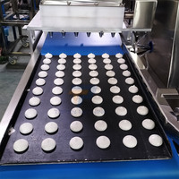 Machine de remplissage automatique de biscuits de petits gâteaux pour le dépôt de gâteau d'éponge