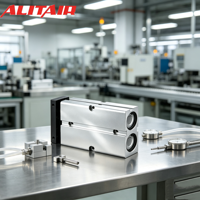 Cylindre pneumatique à double tige série TN ALITAIR avec ou sans aimant – Fournisseurs de vérins pneumatiques à piston série TN