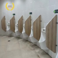Porte de toilette moderne en stratifié à noyau solide Design Compact en nid d'abeille HPL Cloison de salle de bain Accessoires du sol au plafond