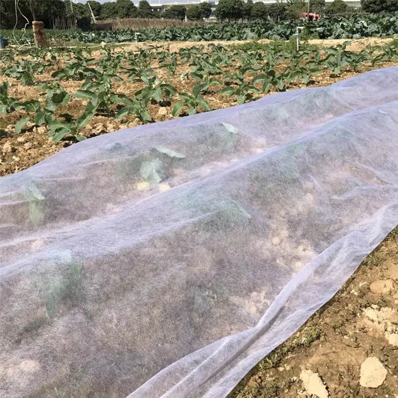 Agricultura Tela de control de malezas no tejida polipropileno Transpirable impermeable Membrana de tierra no tejida barrera de malezas