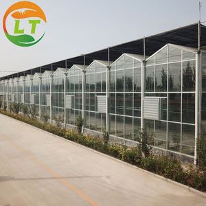 Теплица продает теплицу, томатный теплица - Product Image 3