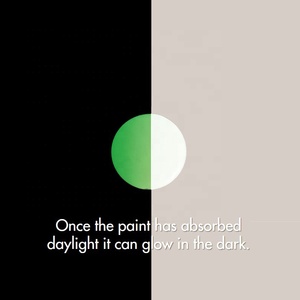 Tự Phát Sáng đường sơn nhựa nhiệt dẻo huỳnh quang đường giao thông đánh dấu sơn phát sáng trong sơn tối photoluminescent lớp phủ - Product Image 6