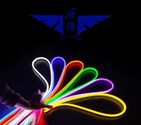 Tira de Luz LED de Neón Flexible de 5 mm y 6 mm, Venta Directa de Fábrica, DC 12V, Corte de 2.5 cm, Rollo de 5 Metros, Impermeable IP65 para Letreros Personalizados