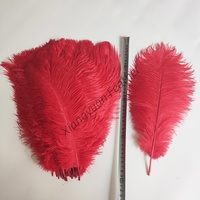 Plumes d'autruche multicolores teintées de 35-40 cm pour la décoration de fêtes, carnavals, bricolage, scènes et centres de table