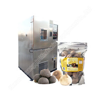 Fermenteur à bon prix pour machine de fermentation arrière, en promotion, machine à ail noir d'usine