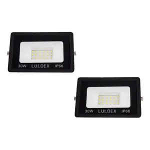 Projecteur LED extérieur 30W, blanc froid et blanc chaud, IP67, corps en aluminium, 110V/220V, montage en surface, éclairage paysager de jardin, LULDEX 5-Ye - Product Image 1