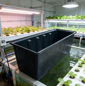 Bassin d'aquaponie commercial en LLDPE de qualité alimentaire pour pisciculture <span class=keywords><strong>hydroponique</strong></span>, 1000L, à fond ouvert, rectangulaire, blanc naturel, garantie 3 ans - Product Image 2