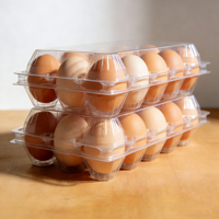 Bon marché Emballage d'oeufs en plastique de haute qualité 6/8/10/12/15/30 cellules plateau d'emballage d'oeufs de poulet à vendre