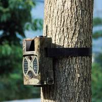 Cámara de Vigilancia Forest HC-300A con Detección de Movimiento y Resolución 1080P