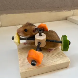 Op Maat Gemaakte Hamster Feeder Wiel Speelgoed Massief Hout Hamster Kauwen Speelgoed Knaagdier Speelgoed