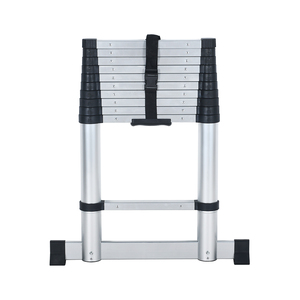 <span class=keywords><strong>Escalera</strong></span> Telescópica Vertical de 11 Peldaños, Tipo 6.2 M, Simple o Doble, <span class=keywords><strong>20</strong></span> pies - Product Image 1