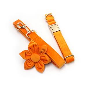 Conjunto de dos piezas de moda, flor de perro ajustable a la moda, bonitos collares y correas de perro personalizados de terciopelo naranja, correas para mascotas - Product Image 2