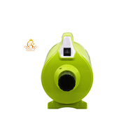 Sèche-cheveux professionnel pour animaux de compagnie EUR PET à double isolation, vitesse du vent 70 m/s, moteur sino-américain, pour chiens et chats