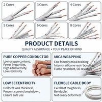 Câble Mica Ignifuge Haute Température 1000°C, Fil Résistant à la Chaleur avec Gaine en Fibre de Verre, Retardateur de Flamme Flexible pour Four, Fourneau, Cuisinière - MicaWire