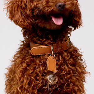 <span class=keywords><strong>Collar</strong></span> para mascotas resistente más vendido, <span class=keywords><strong>Collar</strong></span> de perro de cuero de lujo personalizado - Product Image 6