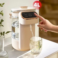 Bouilloire Électrique en Verre Borosilicate Grande Capacité 4L, 800W, Température Réglable, Vente en Gros, Fabrication Personnalisée