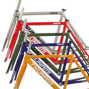 Khung xe đạp đua bằng hợp kim nhôm SNM100 Trailblazer, giá rẻ, chất lượng cao - Product Image 2