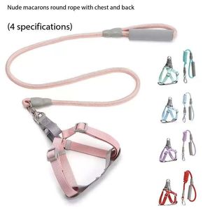 <span class=keywords><strong>Harness</strong></span> dan tali dada anjing nilon tahan lama grosir, cocok untuk anjing kecil dan sedang - Product Image 1