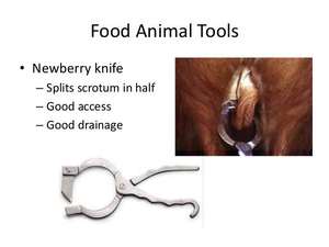 Instrument vétérinaire pliant à double lame NVC modèle 1-105-10 essentiel pour les procédures et traitements de castration - Product Image 6