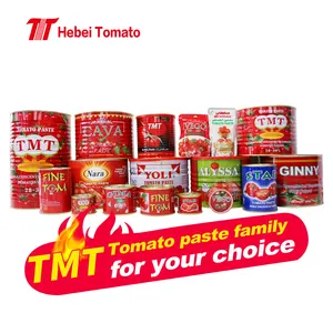 Hot sale tin canned easy open tomato paste best brand in different sizes from factory for Africa