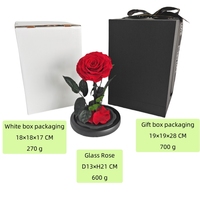Echte Rose mit LED-Licht konservierten Rosen in Glas Ewige Blumen kuppel für Mädchen Frau Rot Valentinstag Geschenk Ainy Rose