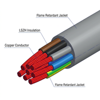 Câble d'alimentation VVGng LS standard GOST 0,6 1kV, conducteur en cuivre sans oxygène, résistant au feu, PVC IEC 60332-3-22, industriel