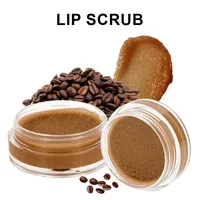 Gommage Lèvres Rose Exfoliant Doux au Sucre Parfum Fraise MLM avec Logo Personnalisé Hydratant Nourrissant Éclaircissant Résistant à l'Eau