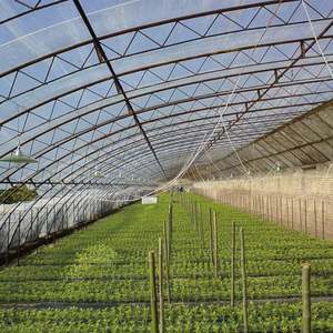 Vaso per Orchidee a Farfalla Personalizzato con <span class=keywords><strong>Pallet</strong></span> per Ciotola Nutritiva in Vendita - Product Image 5