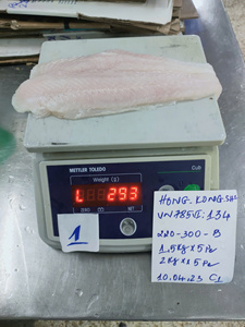 Filete de Pangasius Congelado Blanco Premium IQF de 10-12 cm, Bajo en Carbohidratos, Sin Aditivos, Marca VHFood, Paquete a Granel de Vietnam - Product Image 4