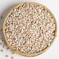 Extrait de graines de Coix hydrosoluble de qualité alimentaire en vrac pour la fabrication de boissons solides – Matière première