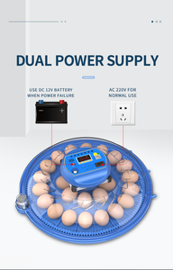 Pantalla automática de temperatura incubadora automática de torneado de huevos Capacidad de 52 huevos - Product Image 4