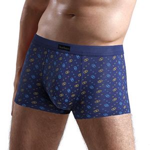 Short personnalisé transparent <span class=keywords><strong>miiow</strong></span> week boxer culotte pour garçon cool boxer sous-vêtements pour hommes - Product Image 2