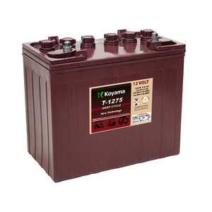 Chất lượng cao T-1275 chu kỳ sâu Trojan hình ống ngập pin cho xe Golf sàn làm sạch máy xử lý vật liệu 12v150ah - Product Image 3