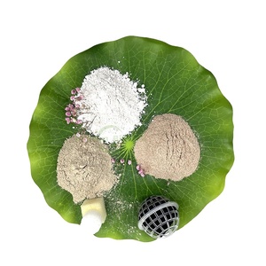 <strong>Septic</strong> <strong>Tank</strong> Treatment Bio Enzyme Decomposing Bacteria <strong>Septic</strong> <strong>Tank</strong> <strong>Cleaner</strong> - Product Image 1