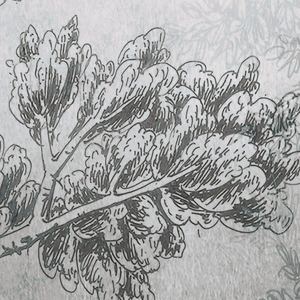 <span class=keywords><strong>Papier</strong></span> <span class=keywords><strong>peint</strong></span> pour enfants Forêt brumeuse, Murale murale moderne de luxe écologique ignifuge à thème animal pour chambre d'enfant et salle de jeux - Product Image 4