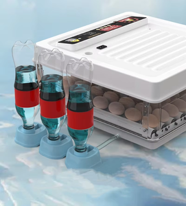 Автоматический инкубатор для маленьких яиц - Product Image 5