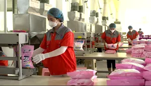 Powder Detergent China Manufacturers Concentrated 25 Kg Detergent Powder Washing