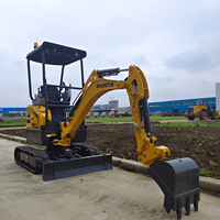 Mini-excavatrice Shantui SE17 haute performance et économique, 1,7 tonne, mini-pelle hydraulique pour travaux d'aménagement paysager et de terrassement