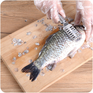 Stainless Steel Fish Scaler Heavy Duty Kitchen Tool For Seafood Preparation - Product Image 1