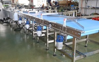Machine d'emballage multifonctionnelle ligne d'emballage à flux horizontal pour barre de chocolat/barre de bonbons