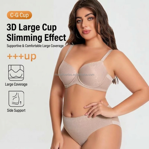 Venta al por mayor y personalización: Sujetador acolchado de alta calidad, fino, de corte alto, para uso diario, copa completa, tallas grandes, copas 34-42 D E F G GG H HH J - Product Image 1