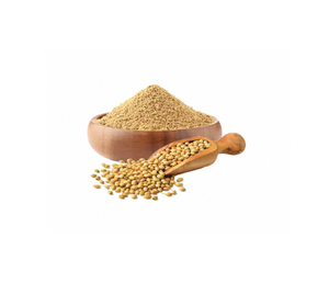 Premium Quality Pure Coriander Powder Dhania Powder Export Grade Culinary <b>Spice</b> from India Freshly Ground Strong Natural Aroma - Product Image 1