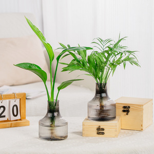 Sáng Tạo Ánh Sáng Sang Trọng Hiện Đại Thủy Canh Nhựa Trong Suốt Bàn Bình Hoa Lọ Hoa Trang Trí Nhà Đồ Trang Trí Màu Xanh Lá Cây Hoa Hồng Tiền - Product Image 1