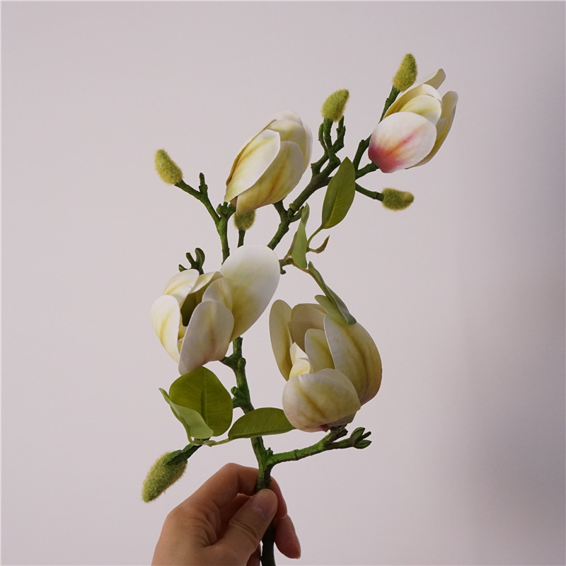 4 small magnolia-green