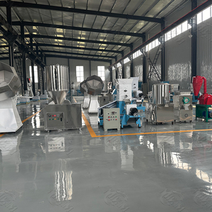 Machine de fabrication de croquettes pour chiens, granulés alimentaires pour animaux de compagnie, ligne de traitement de biscuits pour chiens - Product Image 3