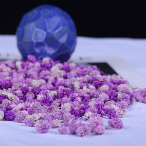 Hierba de cristal eterna preservada del proveedor de <span class=keywords><strong>bodas</strong></span>, Limonium, decoración seca para eventos de <span class=keywords><strong>bodas</strong></span> para el Día de San Valentín con tallos - Product Image 4